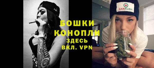 твердый Богородск