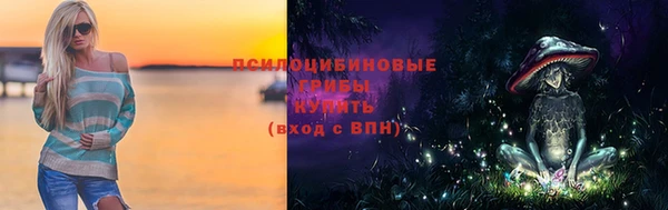 прущие грибы Беломорск