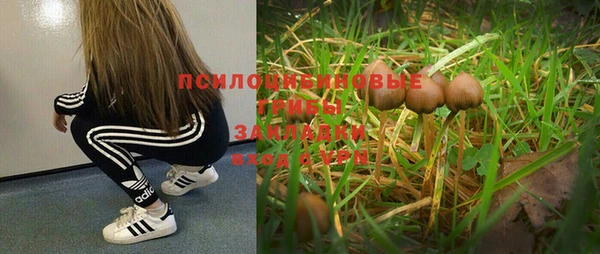 бошки Белокуриха