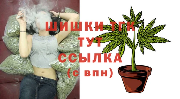 бошки Белокуриха