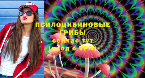 бошки Белокуриха